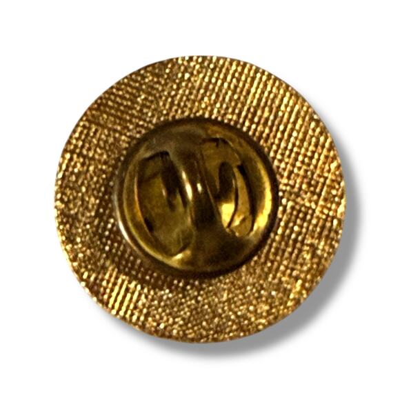 Vintage Texas Order of the Eastern Star Lapel Pin Gold Tone Blue White Enamel - Picture 3 of 6